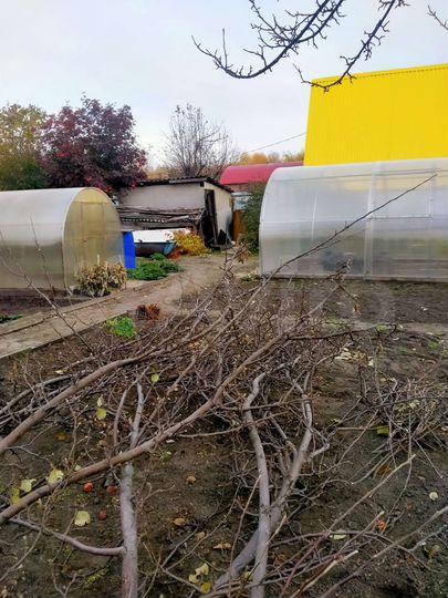 Дача 20 м² на участке 7,1 сот.