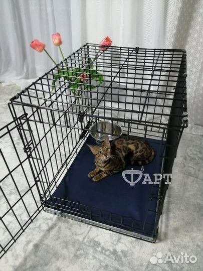 Клетка для животных