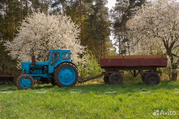 Услуги трактора Т-40