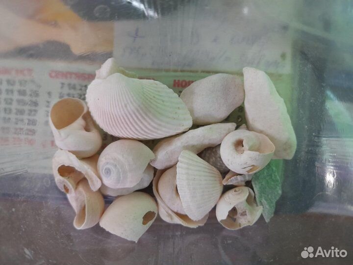 Ракушки, мрамор, грунт, декор, колбы для сифона