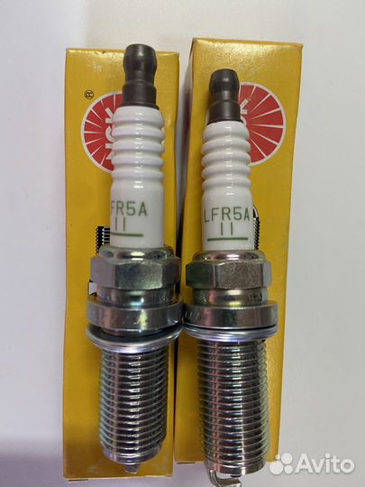 Lfr5a-11 (6376)