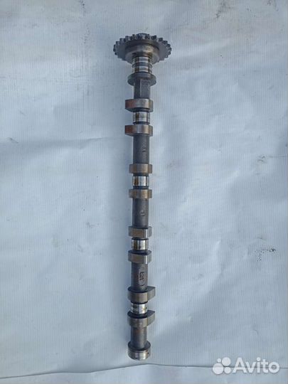 Впускной распредвал Nissan avenir 1992