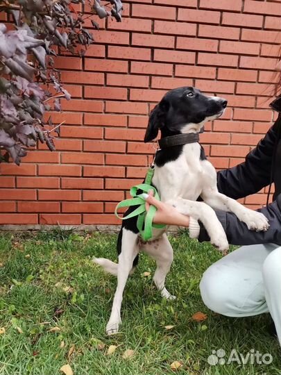 Совсем крошка