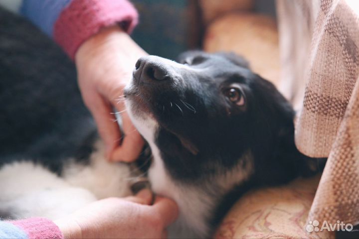 Гром ищет дом