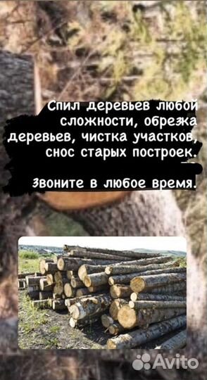 Спил деревьев, снос старых построек, покос травы