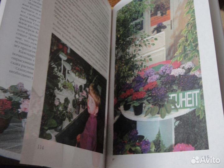 Книги о фиалках