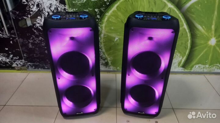 Акустическая система Eltronic 20-56 (3000 Ватт)