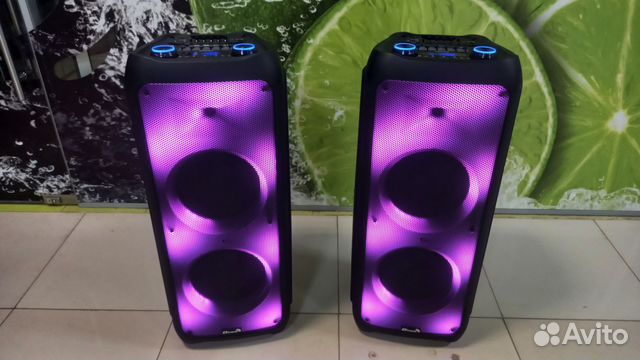 Акустическая система Eltronic 20-56 (3000 Ватт)