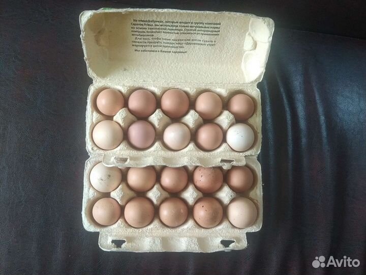 Домашние куриные яйца