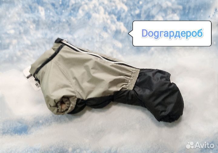 Зимний комбинезон для такс и корги