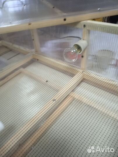 С Брудер для циплят