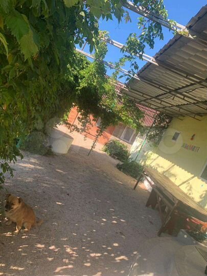 Дом 35 м² на участке 16 сот.