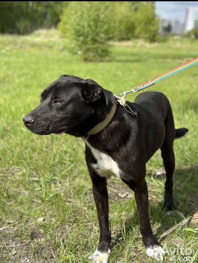 Не вышел внешне, но вышел душой