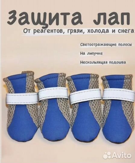 Обувь для собак мелких пород