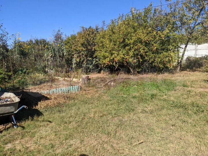 Участок 6 сот. (СНТ, ДНП)