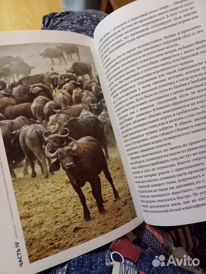 Книга про Африку