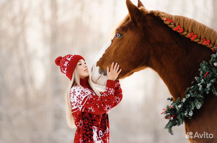 Фотосессии с лошадьми