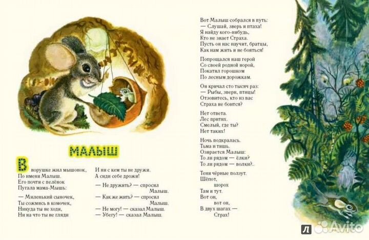 Сказка о Cтрахе Серова Екатерина Васильевна