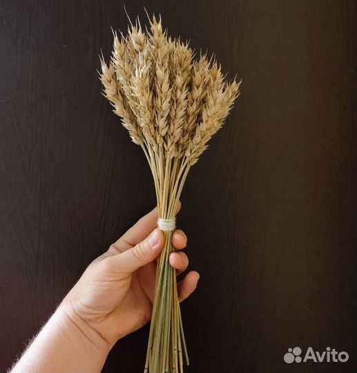 Букет из пшеницы, сухоцветы