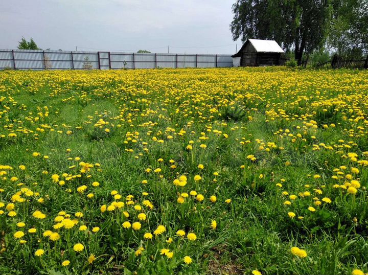 Участок 16 сот. (ИЖС)