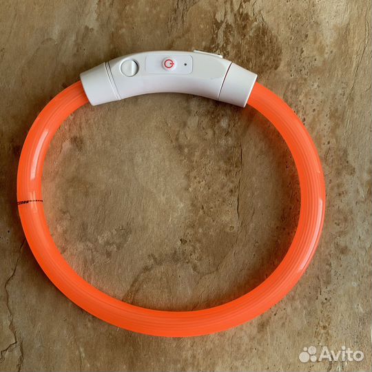 Светящийся ошейник