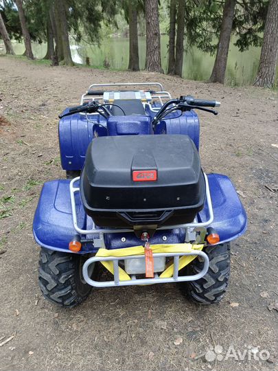 Зид Тарпан 200