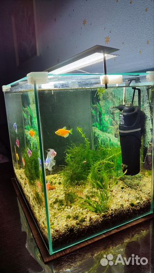 Аквариум 49л (45х30х36,5см)