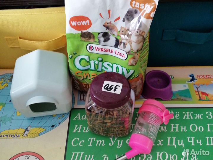 Корм в подарок