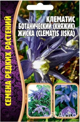Клематис Микс 10 шт редкие семена
