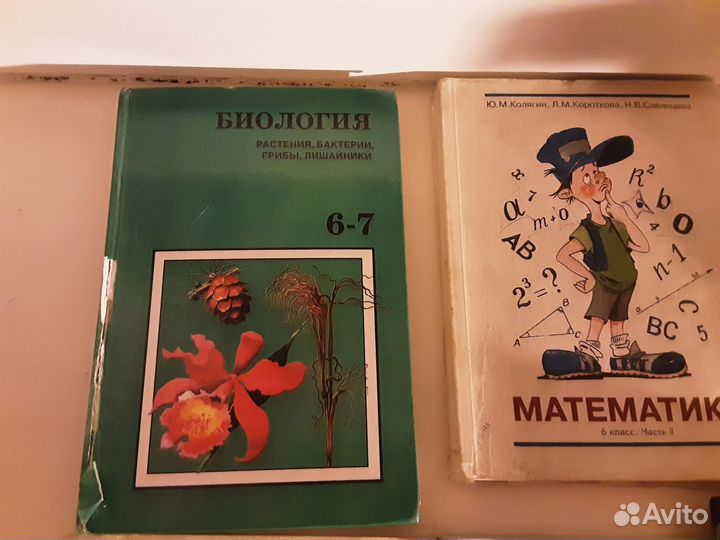 Учебники 6 кл,русский, биология, география,матем