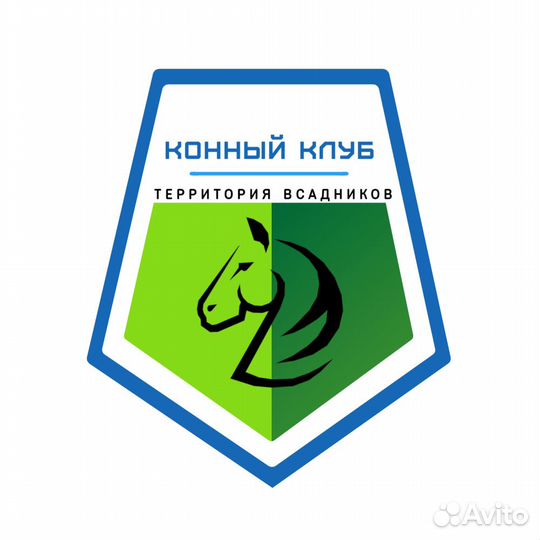 Катание на лошадях