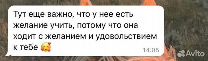Репетитор начальных классов, подготовка к школе