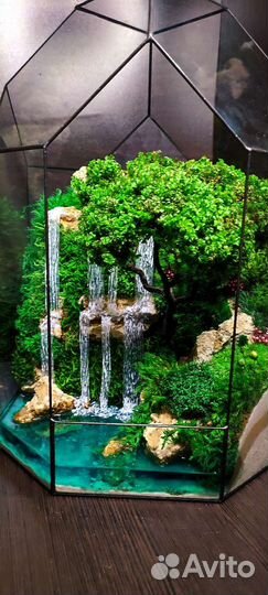 Моссариум флорариум подарок 8 марта