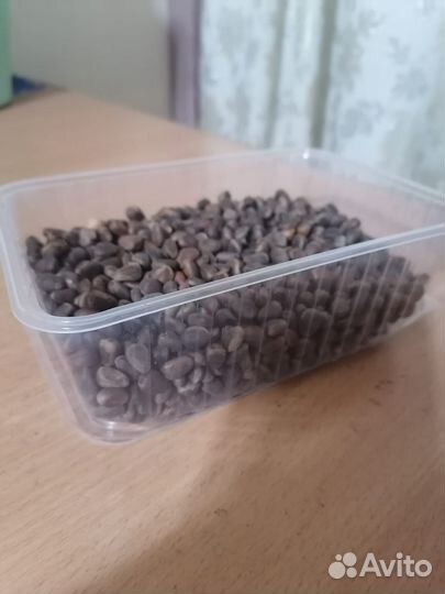 Шишка, орех, рыба