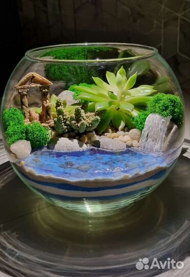 Флорариум из суккулентов с водоемом и водопадом