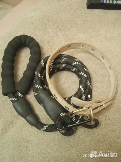 Поводок для собак