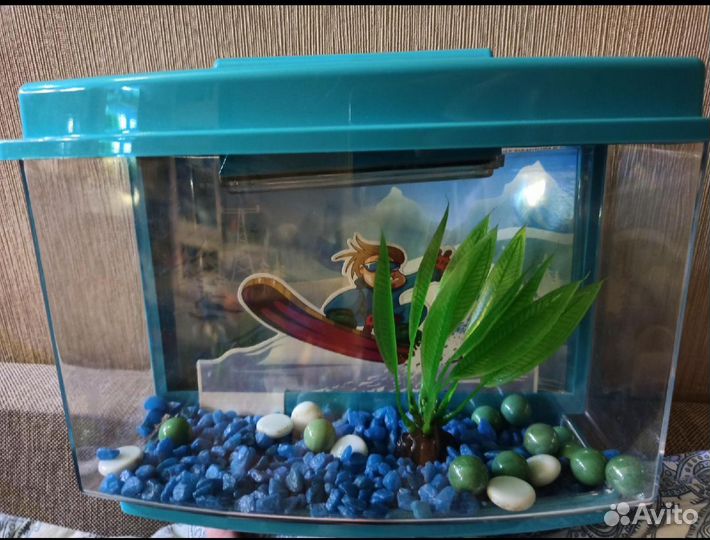 Аквариум