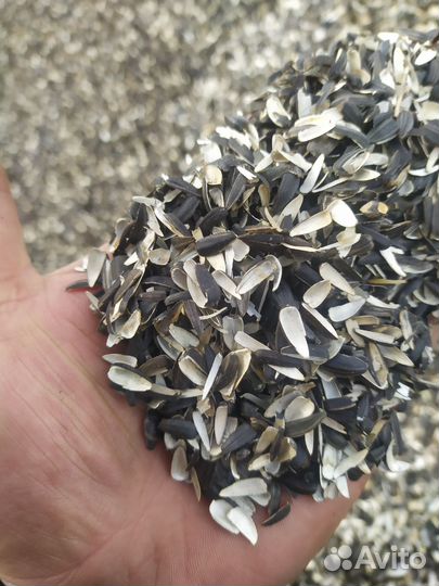 Лузга подсолнечника