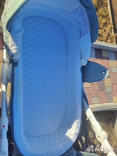 Коляска Adamex luciano 2 в 1