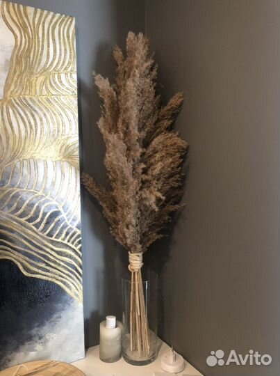 Пампасная трава/тростник