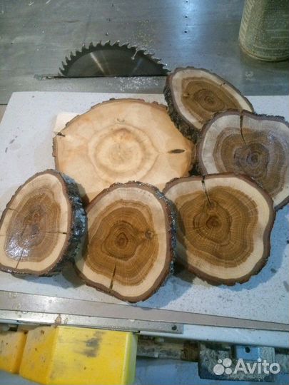 Торцевой спил дуба