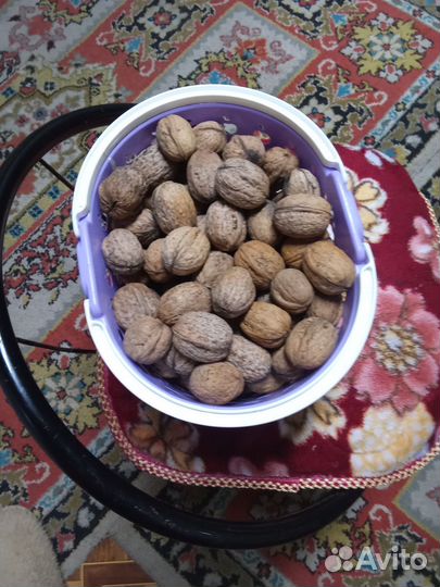 Орех грецкий