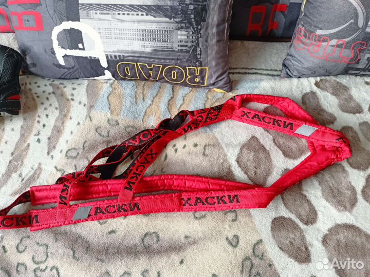 Ездовая шлея для Хаски размер М