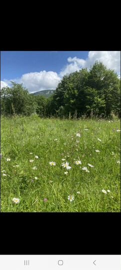 Участок 20 сот. (ИЖС)