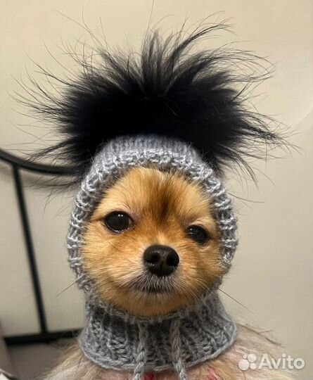 Шапочка для собак