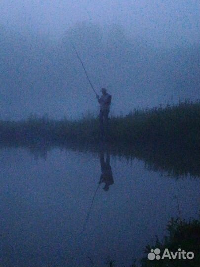 Дом баня на берегу пруда база отдыха