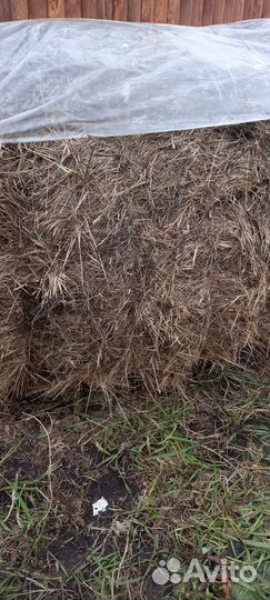 Сено в тюках и мешках