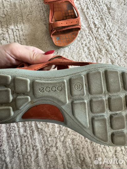 Сандалии ecco