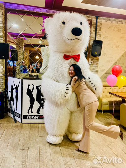 Белый Мишка на праздник Чебурашка Аниматор