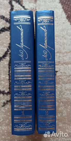 Лермонтов М. Ю. Двухтомник